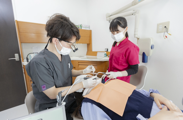 診療内容